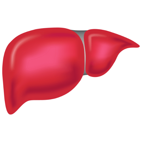 liver health hemochromatosis