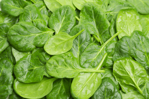 close up image of raw spinach