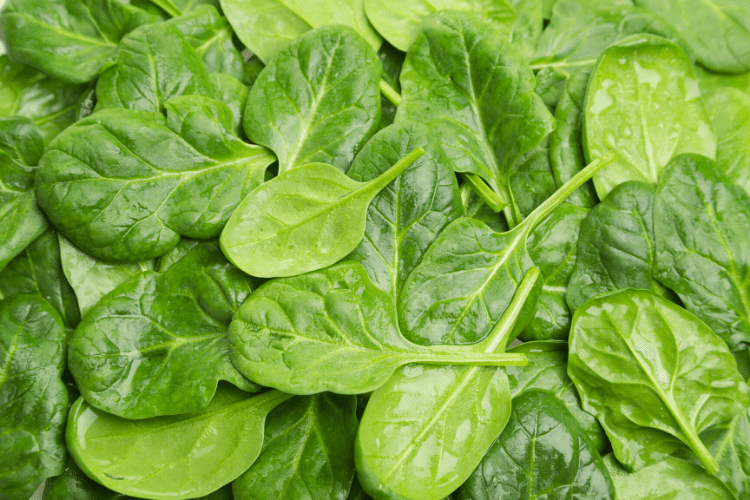 why you can eat all the spinach you want when you have hemochromatosis