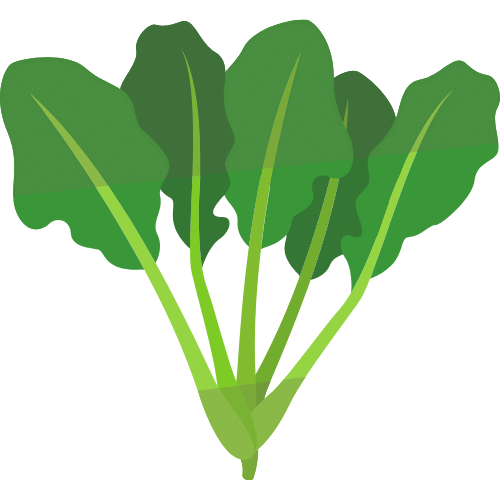 green and yellow spinach leaves graphic