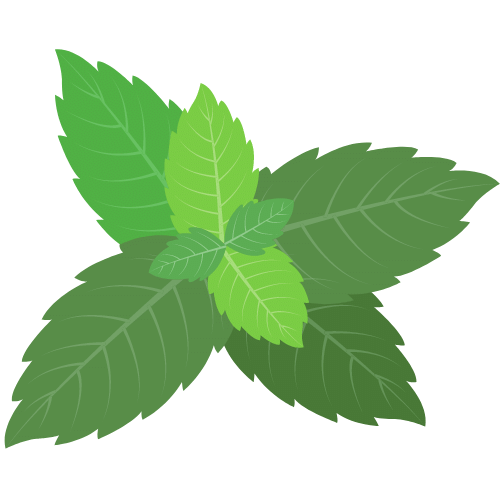 peppermint leaves