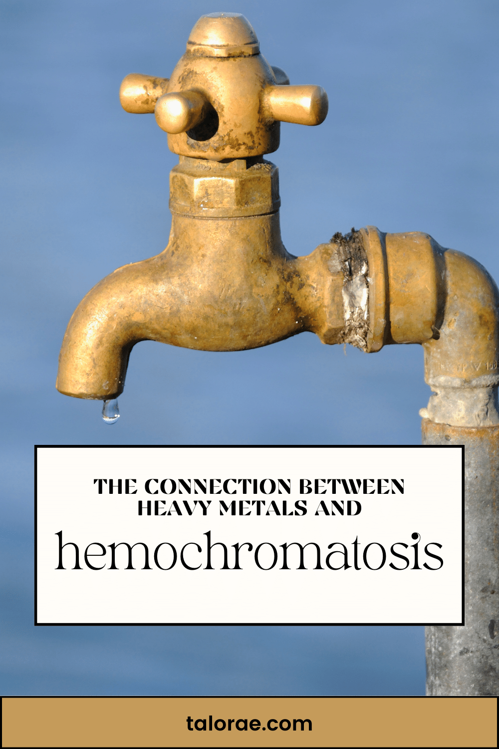 heavy metals and hemochromatosis pin