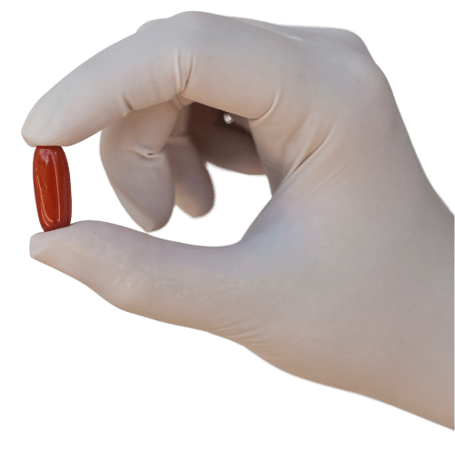 gloved hand holding red pill