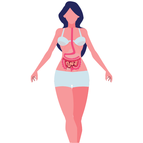 woman's intestines graphic